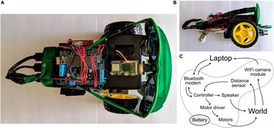 <mark class="highlighted">Neurorobotics</mark> Workshop for High School Students Promotes Competence and Confidence in Computational Neuroscience